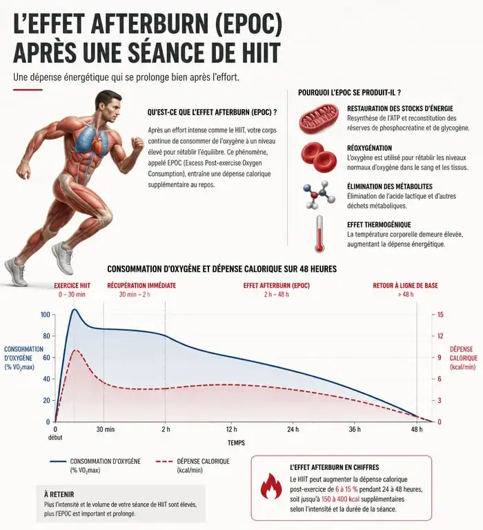 Infographie expliquant l'effet afterburn et la perte de poids avec le HIIT