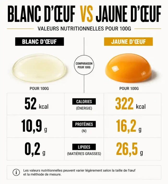 Infographie comparative des calories et nutriments entre le blanc d'œuf et le jaune d'œuf