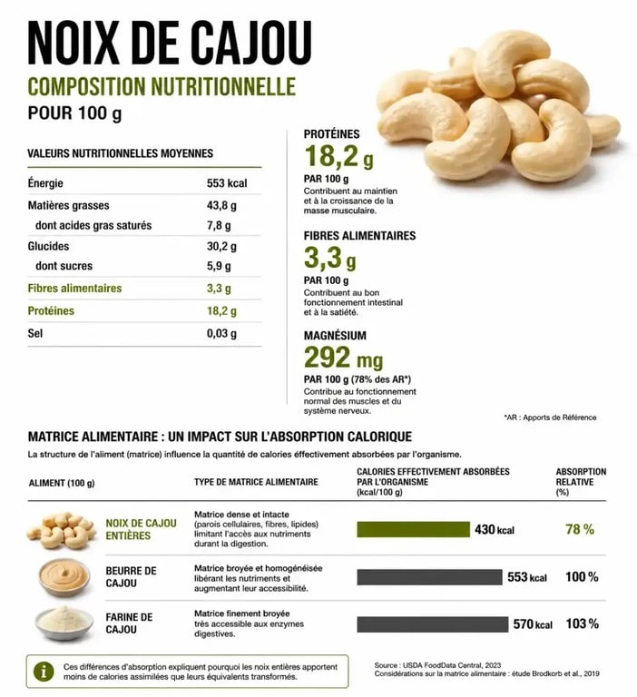 Infographie nutritionnelle sur les bienfaits des noix de cajou et leur impact sur la gestion du poids
