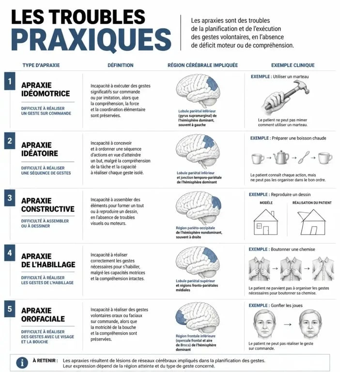 Infographie explicative des différents types de troubles praxiques et leurs manifestations