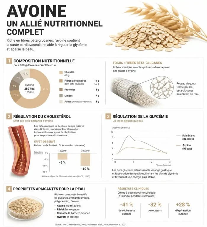 Infographie sur les bienfaits de l'avoine pour la santé et le cholestérol